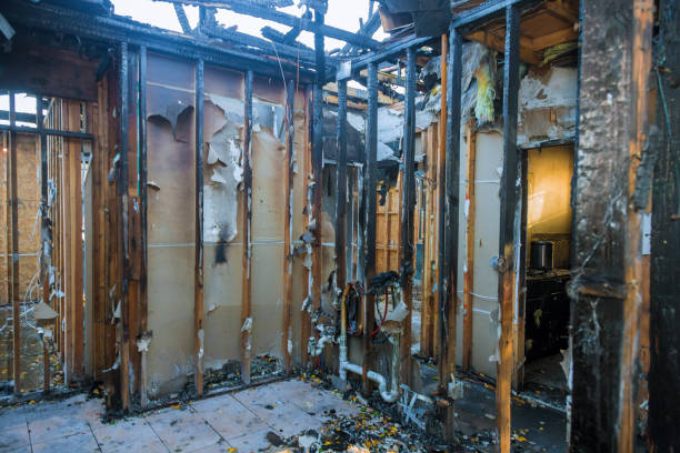 Professional Fire Damage Removal technician working in Whitewater, KS